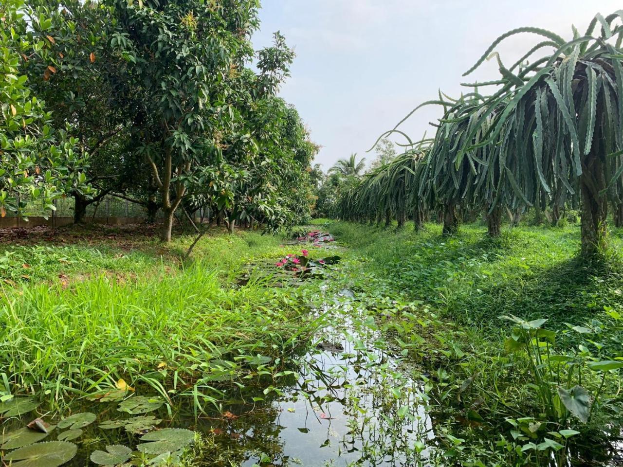 Mekong Backpacker Inn Can Tho Εξωτερικό φωτογραφία
